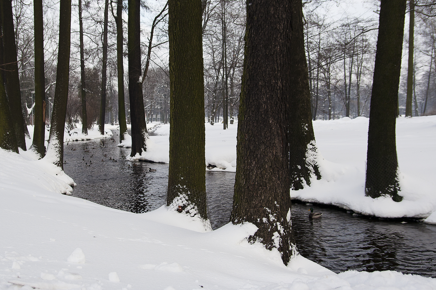 Park In Winter Via @Atisgailis