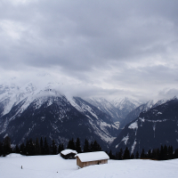 A snow-covered mountainous landscape under a cloudy sky. A dense forest of dark pine trees populates the lower slopes. Two wooden cabins with snow-covered roofs sit in the foreground, surrounded by deep snow. The jagged peaks of the Austrian Alps in the background are partially shrouded in mist.