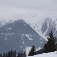 A tranquil winter scene showcasing the snow-covered Austrian Alps under a cloudy sky. The dark, tree-covered slopes contrast with the white snow, creating a picturesque landscape. Evergreen trees dot the foreground, adding depth to the serene and majestic mountain view.