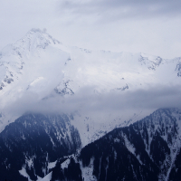 A majestic snow-covered mountain range under a cloudy sky. The towering peaks of the Austrian Alps are partially shrouded by a layer of fog, and the slopes are dotted with dark, dense coniferous forests. The atmosphere is serene and cold, capturing the wintry beauty of Austria's wilderness.