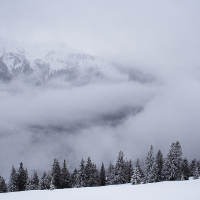 Snow-covered evergreen trees stand in the foreground, with a dense layer of fog obscuring the middle ground. In the background, partially visible through the mist, are the snow-capped peaks of the Austrian Alps, creating a serene and wintry landscape. Flurries of snow are gently falling.