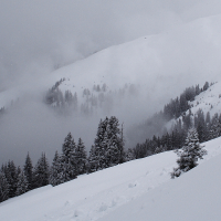 A snowy, mountainous landscape in the Austrian Alps is shrouded in mist. Evergreen trees are scattered across the snow-covered slopes. The dense fog obscures parts of the view, creating a tranquil and mysterious atmosphere. The sky is overcast, adding to the feeling of serenity and isolation.