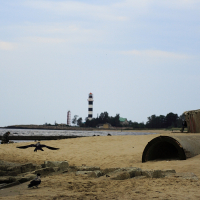 A sandy beach features a large, cylindrical pipe partially buried in the sand. In the background, the black-and-white striped Daugavgrīva lighthouse stands near the shoreline, flanked by a few buildings and trees. The sky is overcast, and a few birds are flying and walking along the beach.