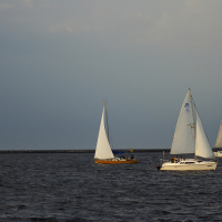 Several sailboats with white sails navigate calm waters under a clouded sky. In the background, the Daugavgrīva lighthouse stands on a long strip of land stretching across the horizon. The boats vary in size, with some close together and others further apart, creating a serene, nautical scene.