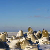 Rocks covered in snow at Daugavgrīva beach in winter.