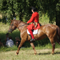 A person dressed in historical red military attire rides a brown horse at a leisurely pace in a grassy area, reminiscent of Dunamunde 2010. The rider wears a black hat and long coat with red pants. Several people sit under a tree in the background, watching the horse and rider pass by.