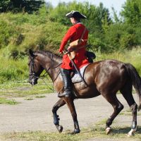 A man in a historical red military coat and bicorne hat rides a dark brown horse on a grassy, slightly overgrown field. The rider carries a tan bag slung over his shoulder. The scene appears to be from the Dunamunde 2010 reenactment, with greens and bushes bathed in sunlight.