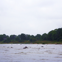 A tranquil river scene in Engure featuring a group of kayakers navigating through rippling waters, with a lush green treeline and a sandy shoreline in the background under a cloudy sky.