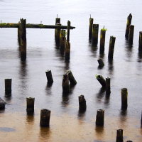 A serene image displaying the remnants of an old wooden pier with weathered posts protruding from calm water in Engure, accompanied by scattered rocks near the shore, invoking a sense of historical decay and natural