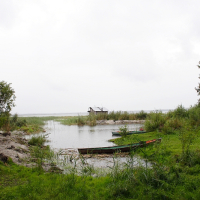 Three wooden boats are moored in a narrow, calm inlet surrounded by lush green vegetation, reminiscent of Engure's serene landscapes. A small house sits on the distant shore at the end of the inlet, under a cloudy sky. Tall grasses and bushes line both sides of the water, leading to a tranquil, remote setting.