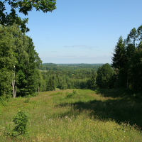 A tranquil forest clearing leads to a vista of rolling hills under a clear blue sky, evoking the peace and vastness of nature near Gaiziņš.