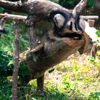 A weathered wooden sculpture resembling a fantastical creature stands on grass. It has large, round eye-like protrusions and horn-like extensions on its head. The setting, reminiscent of the 2013 Give and Get festival, is a lush green area with blurred foliage and a small body of water in the background.