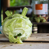 A cabbage head is creatively arranged to resemble a playful face, with cucumber slices for ears and pieces for eyes. This whimsical display, reminiscent of the cheerful ambiance of the Give and Get Festival 2013, sits on a rustic wooden table with other food items and containers slightly out of focus in the background.