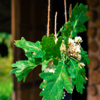 A small glass jar wrapped with twine hangs from a rope, containing a bouquet of green oak leaves and light pink flowers. The background is slightly blurred, showing a rustic wooden structure with a doorway, allowing sunlight to filter through and illuminate the hanging jar at the 2013 Give and Get festival.