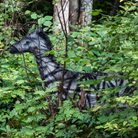 A metallic deer statue, partially concealed by lush green foliage, stands amidst a dense forest. Sunlight filters through the trees, casting dappled shadows on the statue and surrounding leaves, creating a blend of light and dark patches throughout the scene—an artwork from the 2013 Give and Get festival.