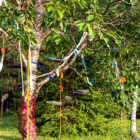 A tree adorned with colorful ribbons and small objects hanging from its branches stands in a grassy area. The trunk and branches are wrapped with red, blue, and orange strings, with various small items like tubes and bottles tied to them, reminiscent of the vibrant art installations at the Give and Get festival 2013.