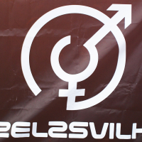 A sign with the words dezelsvilks on it, featuring the iconic Dzelzs vilks ielīgo '09 logo.