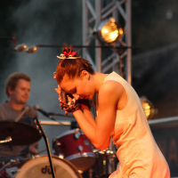 A woman in a white dress, Dzelzs vilks.