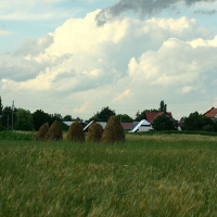 Rows of traditional haystacks stand in a lush green field under a dramatic sky in Romania, hinting at the calm before a possible storm, with a quaint rural village resting in the background.