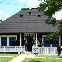 Traditional rural house in Romania with a symmetrical facade, featuring a blue wooden fence, ornate window frames, and a stone pathway leading to the entrance, set against a landscape with lush greenery and