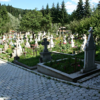 A tranquil cemetery in Romania with rows of tombstones amid greenery, under a clear blue sky, with pathways paving the way for visitors to pay their respects.