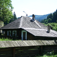 Traditional Romanian wooden house with a shingled roof, nestled in lush greenery under a clear blue sky, showcasing rural architecture and tranquility.