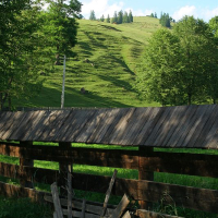 Rustic wooden fence with a broken gate, overlooking a lush, green hillside sprinkled with trees under a clear blue sky in Romania, suggesting the serene simplicity of rural life.