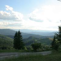 A serene landscape in Romania showcasing rolling hills covered in verdant forests under a vast sky with gentle clouds, as observed from a roadside vantage point with silhouettes of trees in the foreground.