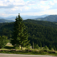 A scenic mountain view in Romania with a verdant landscape, showcasing lush evergreen forests under a partly cloudy sky, as observed from a roadside with log barriers.