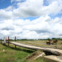 A rustic wooden bridge in Romania under a dynamic sky connects two stretches of land, with people walking across and a horse-drawn cart waiting nearby, showcasing rural life and transport.