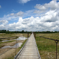 A wooden boardwalk stretches into the distance in Romania, flanked by water and grasslands under a vast sky dotted with cumulus clouds.