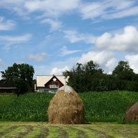 A picturesque rural landscape in Romania with a traditional house flanked by haystacks under a dynamic, cloud-streaked sky, emphasizing agricultural life.