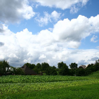 A serene rural landscape in Romania showcasing lush green fields under a dynamic sky dotted with fluffy, white cumulus clouds, with traditional houses peeking through the treeline.
