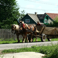 A horse-drawn wagon, loaded and pulled by a team of two horses, travels along a rural road in Romania, past wooden fences and modest homes under a sunny sky.