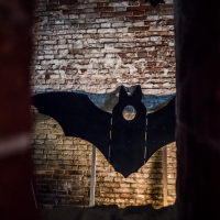 A black silhouette of a bat is mounted on a stand against a rustic brick wall, reminiscent of Daugavpils Fortress. The image is framed by a blurred foreground, possibly from a doorway or window, giving it a mysterious, shadowy atmosphere. The bat's wings are spread wide, with a circular cutout near its head.