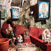 A small outdoor shrine set against a large tree with visible roots. It contains various Hindu deities' statues adorned with flower garlands and offerings, evocative of India's spiritual richness. There's a red-painted altar with images of gods, including Shiva and Ganesha, framed pictures, and a plastic pitcher on the left.