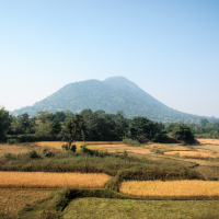 A scenic landscape in India features a lush, green hill under a clear blue sky. In the foreground, fields of golden crops are bordered by trees and shrubs. The hill is densely covered with trees, creating a serene and picturesque rural setting typical of the Indian countryside.