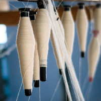 Close-up of thread spools hanging vertically on a loom in a textile factory in India. The spools, wrapped with white thread, are suspended by the thread running through the mechanism. The scene is focused on the intricate setup, highlighting the craftsmanship involved in weaving textiles. Background is blurred.