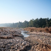 A serene landscape in India shows a rocky riverbed with a narrow stream of water flowing through it. The area is flanked by dry grass and pebbles. In the background, there is a dense line of tall trees under a clear blue sky, indicating a calm day.