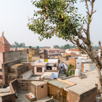 A scenic view of a densely packed neighborhood in India, showcasing various flat-roofed buildings and homes with a mix of colors and materials. A prominent tree stands in the foreground, while a temple with a flag on top is visible among the structures. The background reveals a hazy sky.