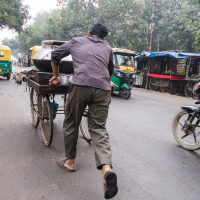 A man wearing a dark shirt and rolled-up pants pushes a loaded tricycle cart along a bustling street in India. To his left is a motorcycle rider, and further ahead are auto-rickshaws painted in yellow and green. Pedestrians and shops line the street, framed by tall trees providing shade.