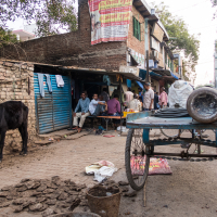 A narrow street scene in India depicts a group of people sitting outside a small shop with a blue shutter. A black cow grazes nearby, while a wooden cart loaded with large metal utensils stands in the foreground. Various signs and posters adorn the buildings, adding to the vibrant atmosphere.