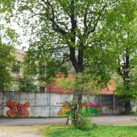 Graffiti in Iļģuciems neighborhood.