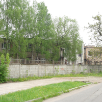 A street in Iļģuciems filled with lush greenery and foliage.