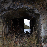 An abandoned bunker entrance in Karosta, overgrown with wild grass, the dark interior hinting at a forgotten past, set against a bleak sky.