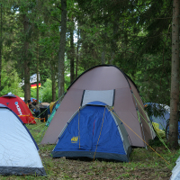 Several colorful tents are set up in a forested camping area at the 2011 Kilkim Žaibu festival. The tents vary in size, with the largest being brown and the smallest blue. Trees provide ample shade, and the forest ground is covered with leaves and grass. Some camping gear is visible among the tents.