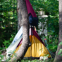 A colorful tent, mostly yellow with red and black sections, is pitched in a dense forest during the Kilkim Žaibu 2012 festival. The tent is anchored between two trees, with one tree prominently in the foreground. Green foliage surrounds the area, and bright sunlight filters through the leaves.