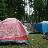 At a campsite in a forest, reminiscent of the vibrant setups seen at festivals, several pitched tents of different colors—red, blue, and green—dot the grassy ground surrounded by tall trees. One red tent in the foreground has a transparent rain cover partially draped over it under an overcast sky.