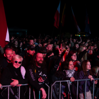 An excited crowd of concertgoers stands behind metal barricades at an outdoor night event during the 2015 Kilkim Žaibu festival. People of various ages, some holding flags, are visible. Many audience members are making hand gestures, such as the 'rock on' sign, capturing the lively and spirited atmosphere.
