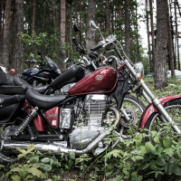 A red and chrome cruiser motorcycle is parked among green foliage and trees in a forested area during the 2015 Kilkim Žaibu event. Saddle bags are attached to the rear sides. In the background, other motorcycles and camping tents are visible, suggesting a lively gathering or camping event among tall trees.